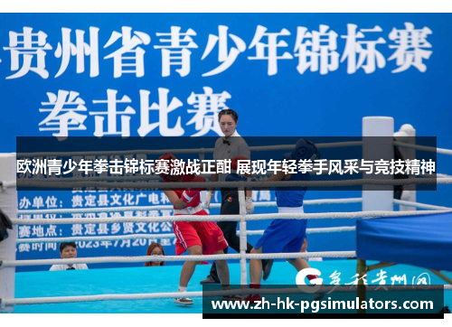 欧洲青少年拳击锦标赛激战正酣 展现年轻拳手风采与竞技精神