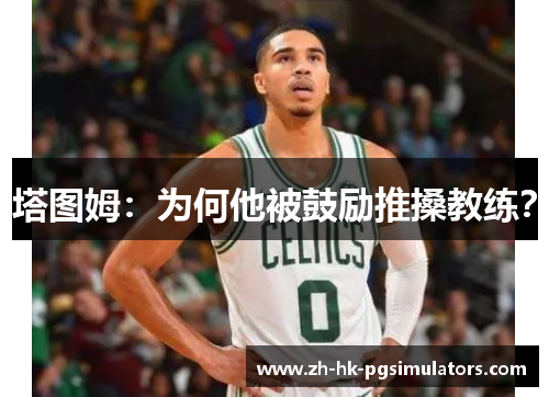 塔图姆：为何他被鼓励推搡教练？