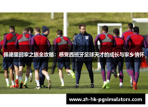 佩德里回家之旅全攻略：感受西班牙足球天才的成长与家乡情怀