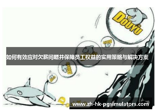 如何有效应对欠薪问题并保障员工权益的实用策略与解决方案