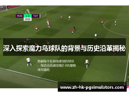 深入探索魔力鸟球队的背景与历史沿革揭秘