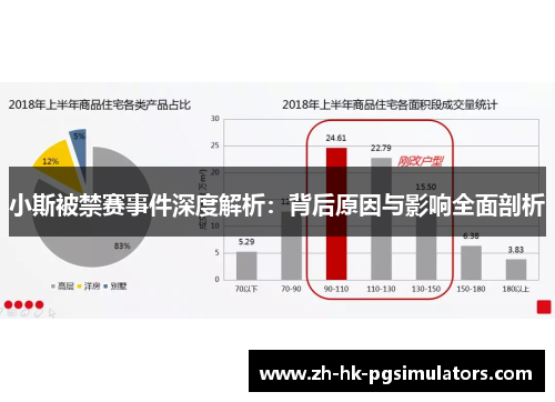 小斯被禁赛事件深度解析：背后原因与影响全面剖析