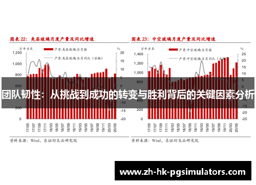 团队韧性：从挑战到成功的转变与胜利背后的关键因素分析