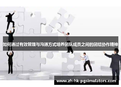如何通过有效管理与沟通方式培养团队成员之间的团结协作精神