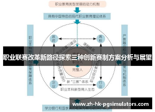 职业联赛改革新路径探索三种创新赛制方案分析与展望
