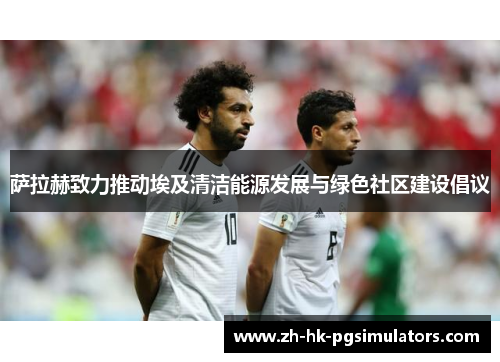 萨拉赫致力推动埃及清洁能源发展与绿色社区建设倡议