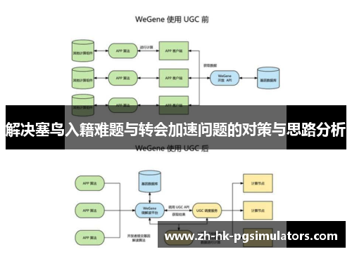 解决塞鸟入籍难题与转会加速问题的对策与思路分析