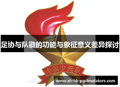 足协与队徽的功能与象征意义差异探讨