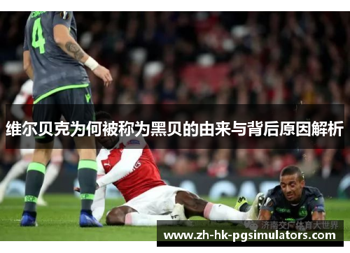 维尔贝克为何被称为黑贝的由来与背后原因解析